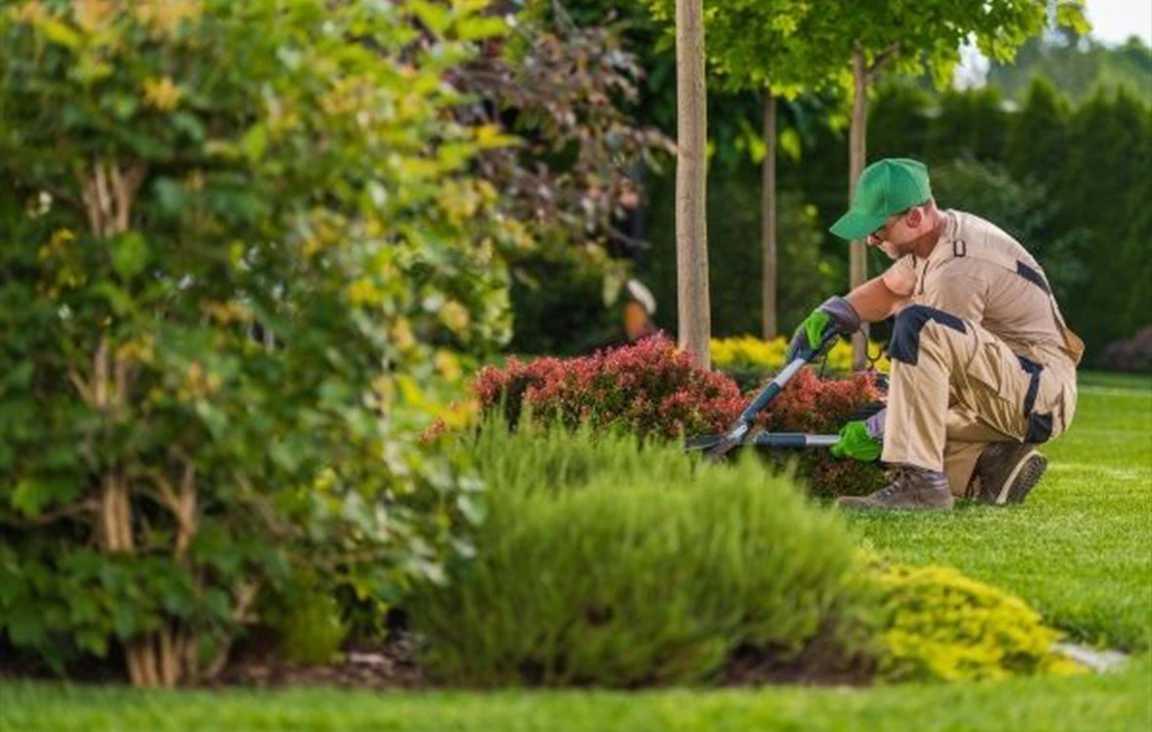Landscape & Gardening